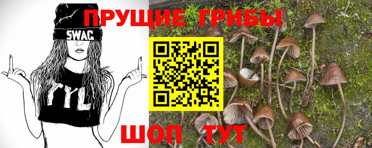 Галлюциногенные грибы ЛСД  Вход с VPN  Красногорск  Галлюциногенные грибы мицелий 